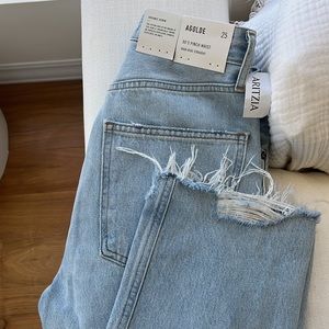 Agolde 90’s Pinch Waist High Rise Straight Organic Denim